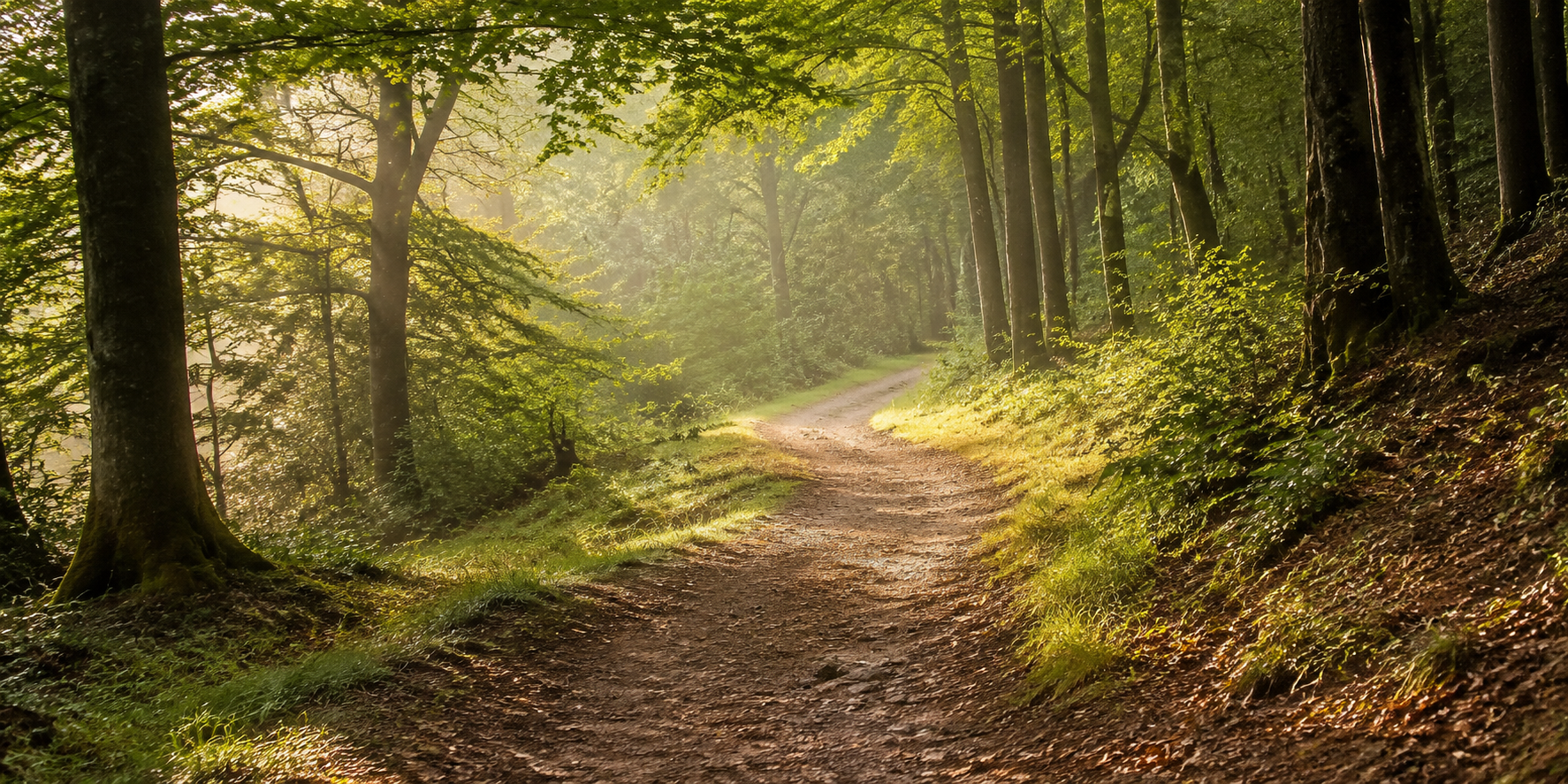 Veränderung beginnt mit einem einzigen Gedanken 🌱